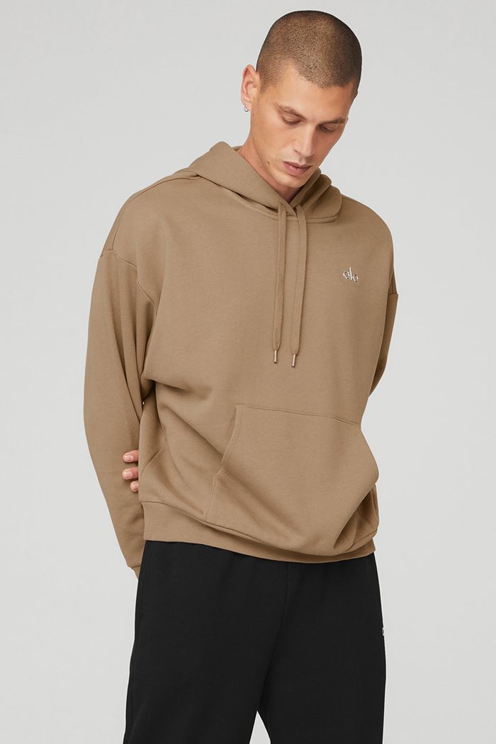 Alo Yoga Accolade Men's Hoodie Brown | JFYIALP-95