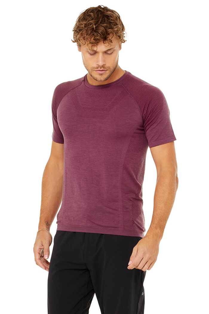 Alo Yoga Amplify Seamless Tee Men's Short Sleeve Red | EAQFLUY-16