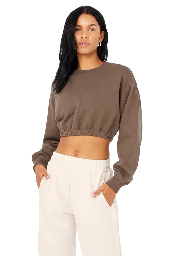 Alo Yoga Devotion Crew Neck Women's Pullover Brown | NFJCHPY-94