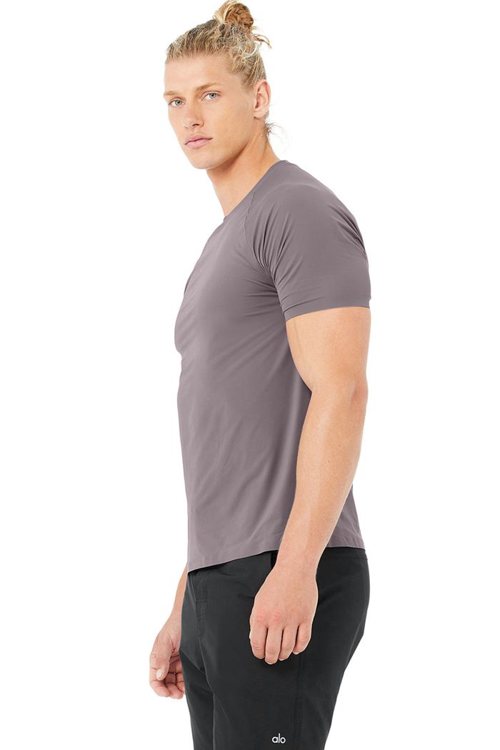 Alo Yoga Idol Performance Tee Men's Short Sleeve Purple | AOTQXYP-81