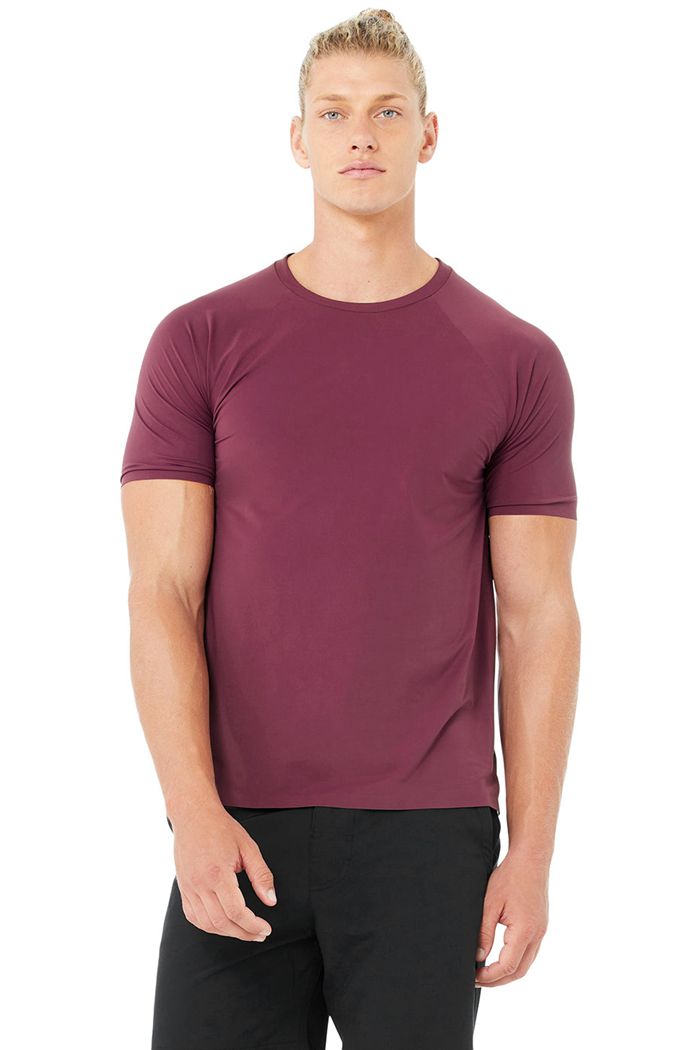 Alo Yoga Idol Performance Tee Men's Short Sleeve Red | ZEURHCG-61