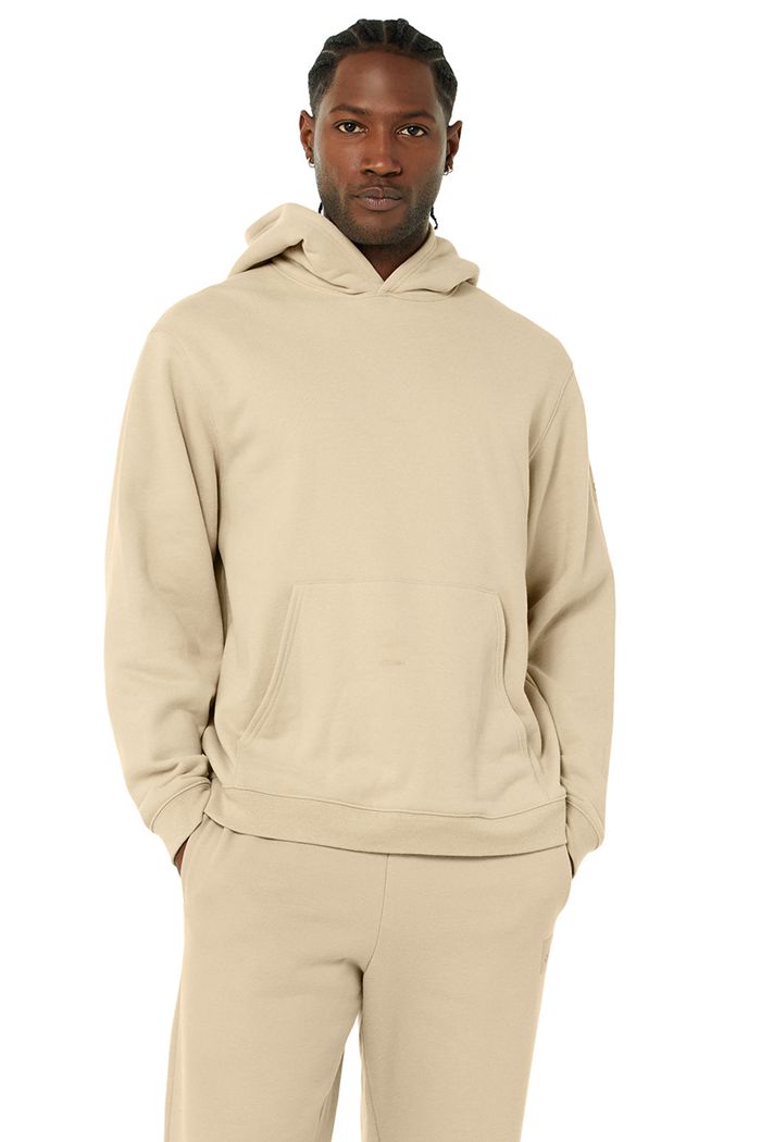 Alo Yoga Renown Men's Hoodie Brown | MAIFDSW-43