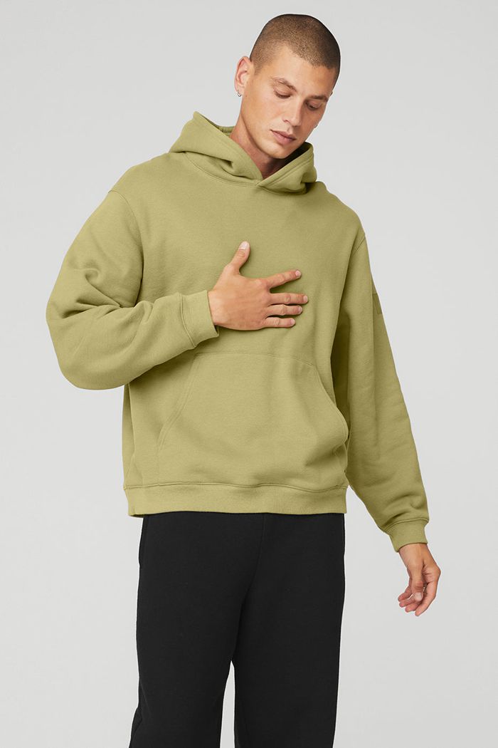 Alo Yoga Renown Men's Hoodie Green | EOWISAL-10