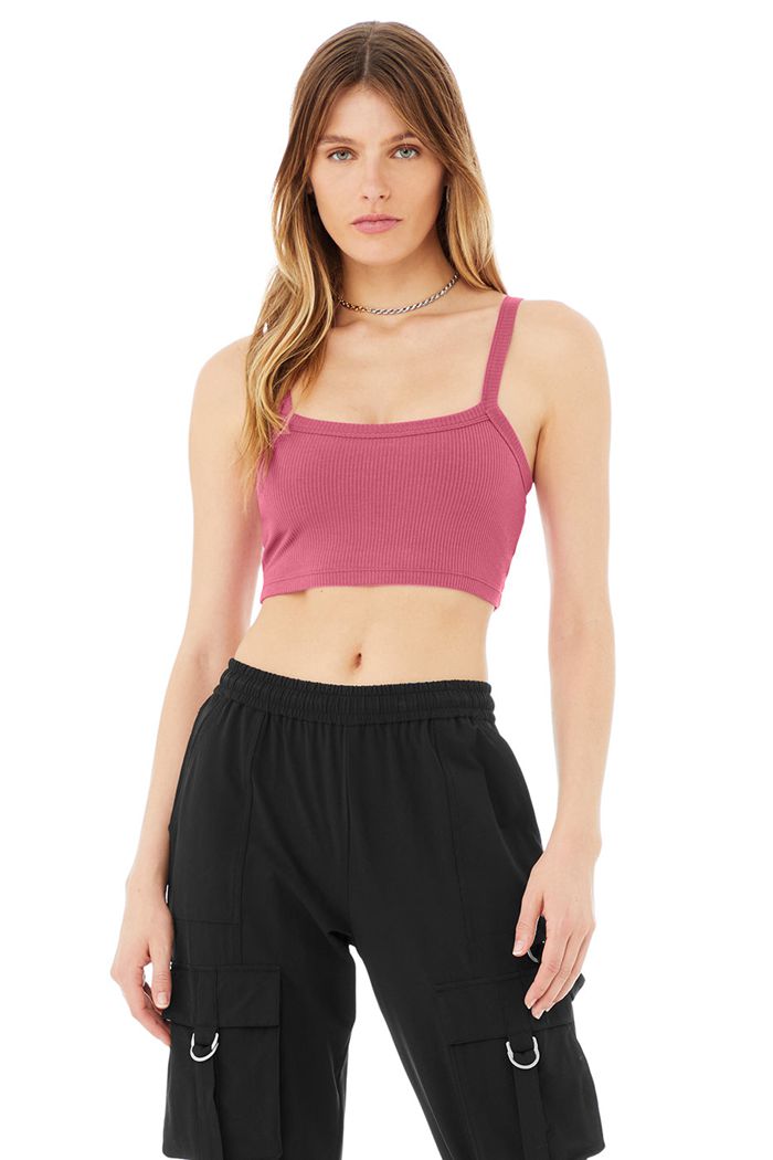 Alo Yoga Ribbed Crop Whisper Women's Bras Purple | XDZICYU-78