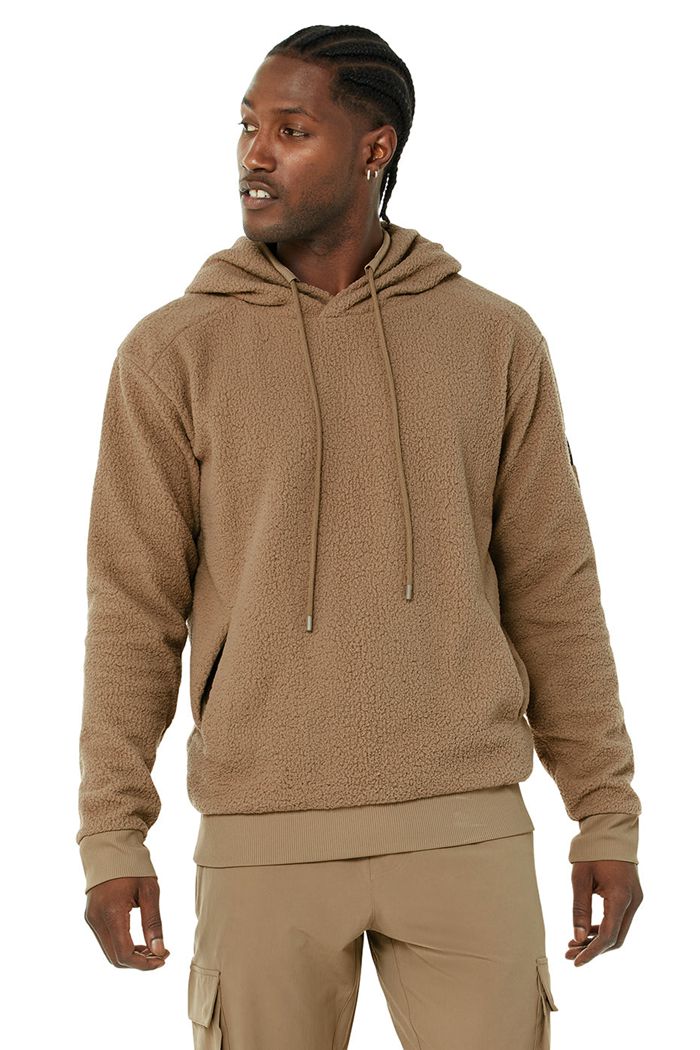 Alo Yoga Sherpa Men's Hoodie Brown | HQCGKUS-23