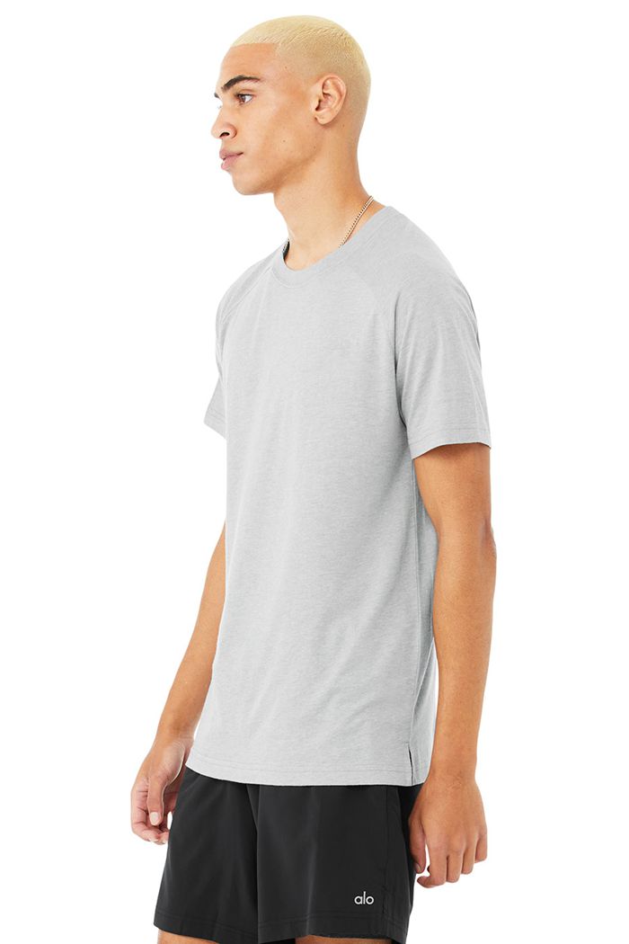 Alo Yoga The Triumph Crew Neck Tee Men's Short Sleeve Grey | EHDMTSO-15