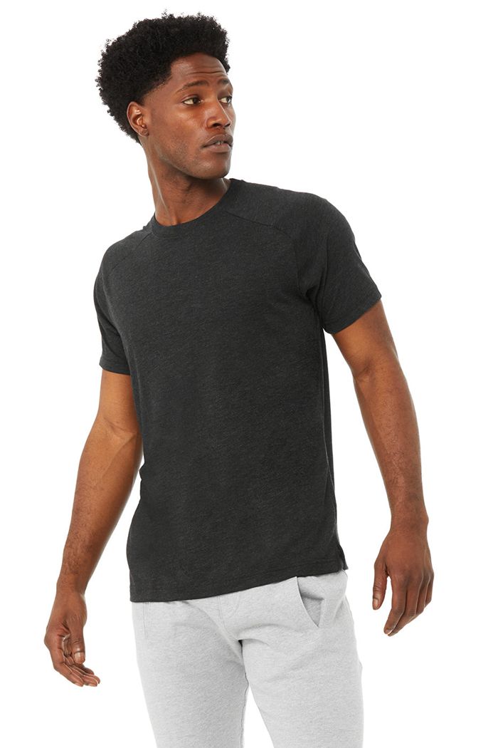 Alo Yoga The Triumph Crew Neck Tee Men's Short Sleeve Black | IJFHSUG-61