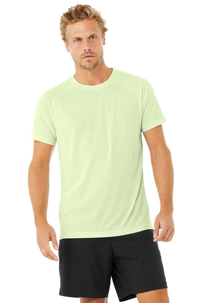 Alo Yoga The Triumph Crew Neck Tee Men's Short Sleeve Green | NFDCSGK-64