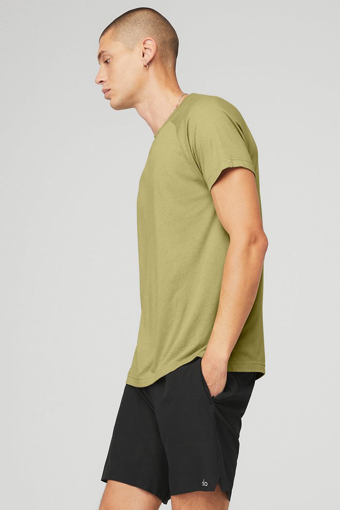 Alo Yoga The Triumph Crew Neck Tee Men's Short Sleeve Green | PZKETOB-61