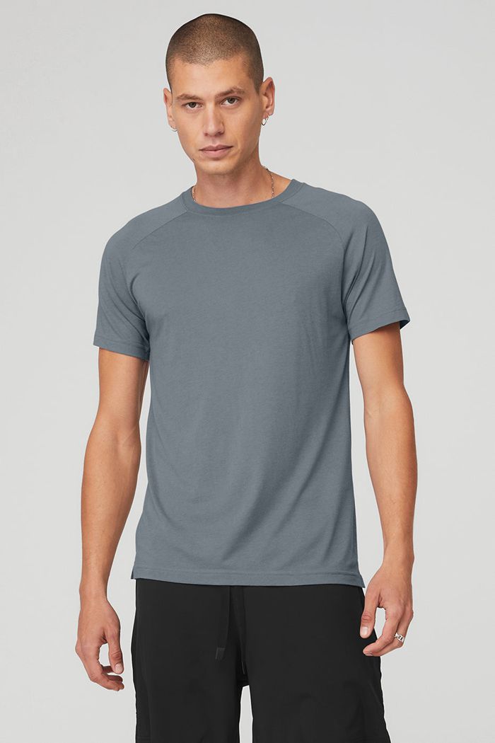 Alo Yoga The Triumph Crew Neck Tee Men's Short Sleeve Grey | QYMARGH-26