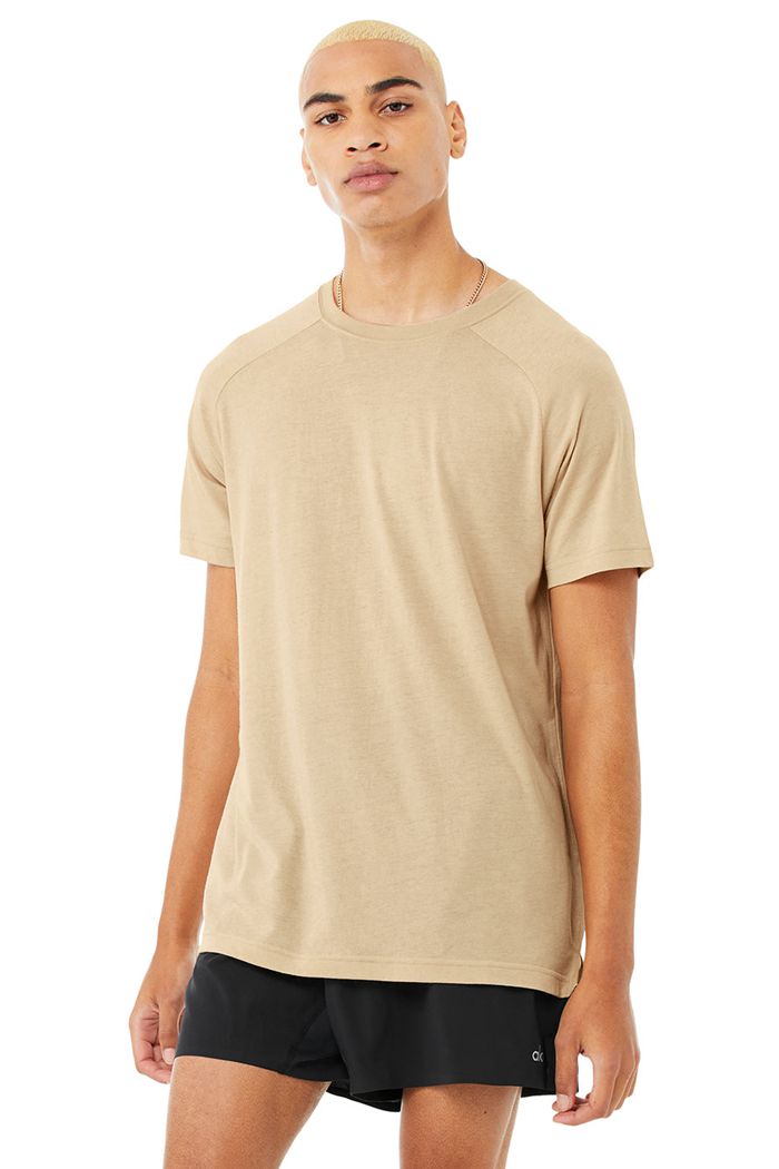 Alo Yoga The Triumph Crew Neck Tee Men's Short Sleeve Brown | WFHAOLB-84