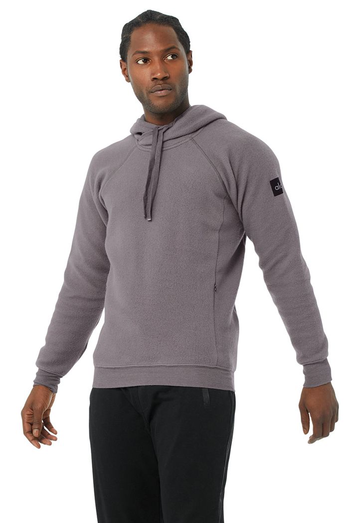 Alo Yoga The Triumph Men's Hoodie Purple | UXZDPEA-59