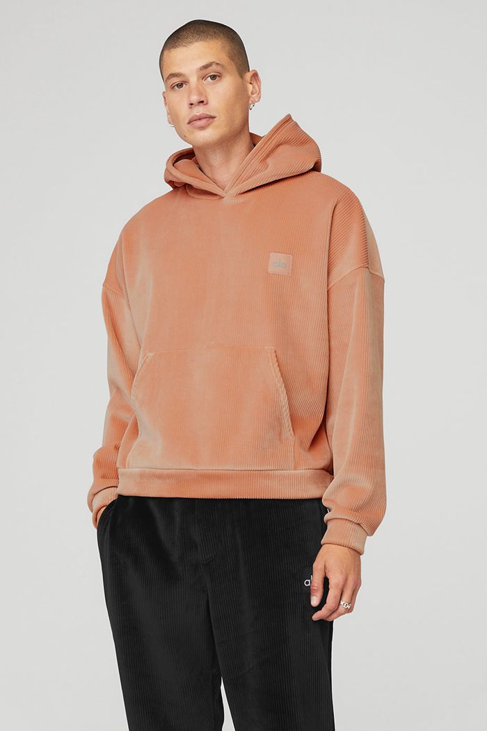 Alo Yoga Velour Baller Men's Hoodie Pink | TKHCFBP-71