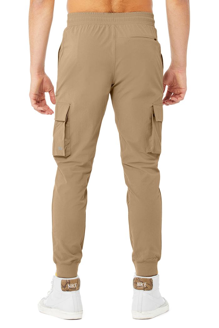 Alo Yoga Cargo Division Field Men's Pants Brown | PUWNIJH-05