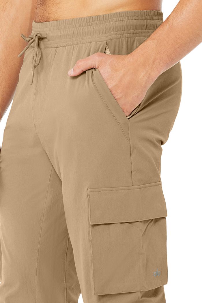 Alo Yoga Cargo Division Field Men's Pants Brown | PUWNIJH-05