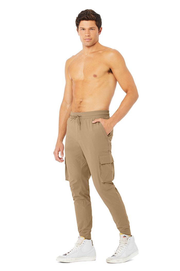 Alo Yoga Cargo Division Field Men's Pants Brown | PUWNIJH-05