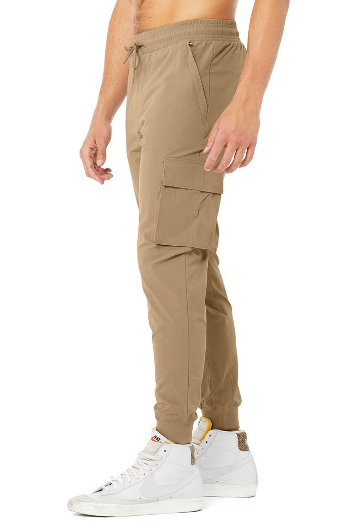 Alo Yoga Cargo Division Field Men\'s Pants Brown | PUWNIJH-05