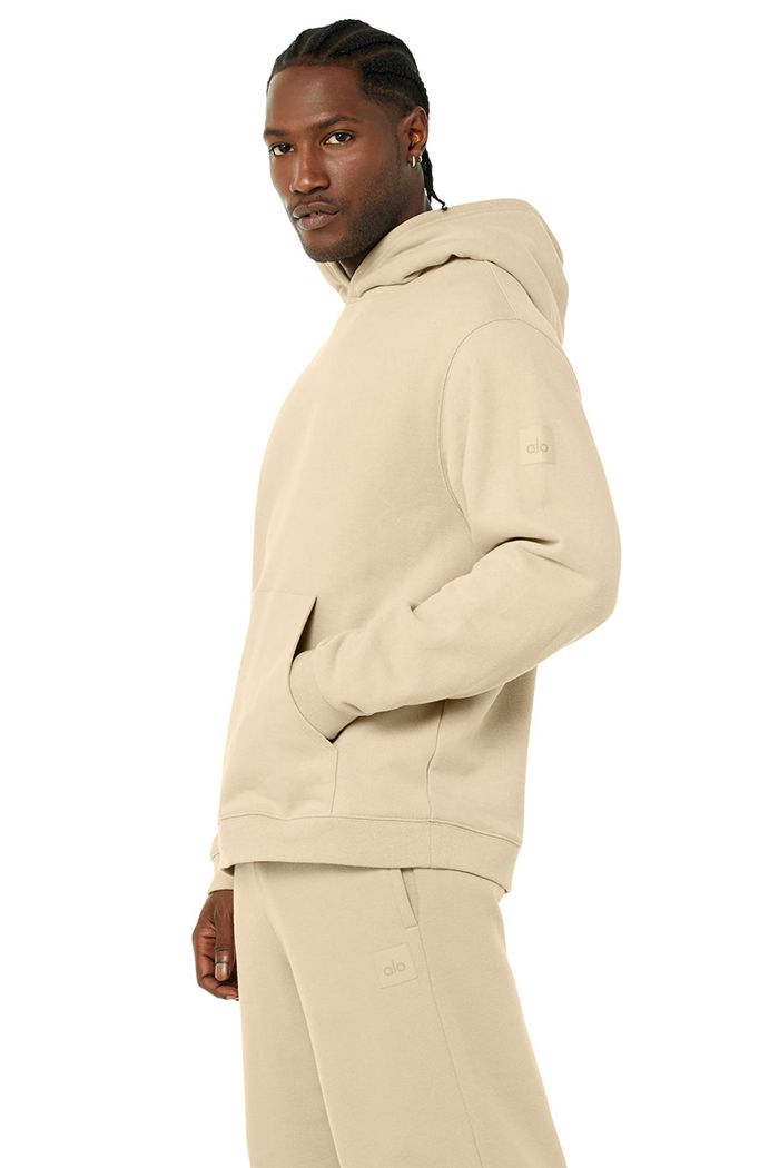 Alo Yoga Renown Men's Hoodie Brown | MAIFDSW-43