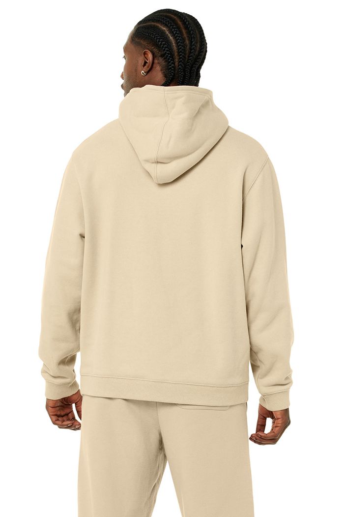 Alo Yoga Renown Men's Hoodie Brown | MAIFDSW-43