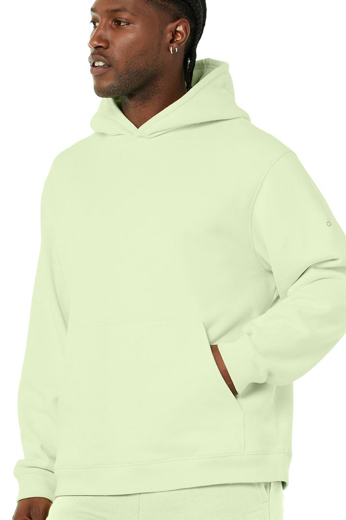 Alo Yoga Renown Men's Hoodie Green | AMYCVLX-43