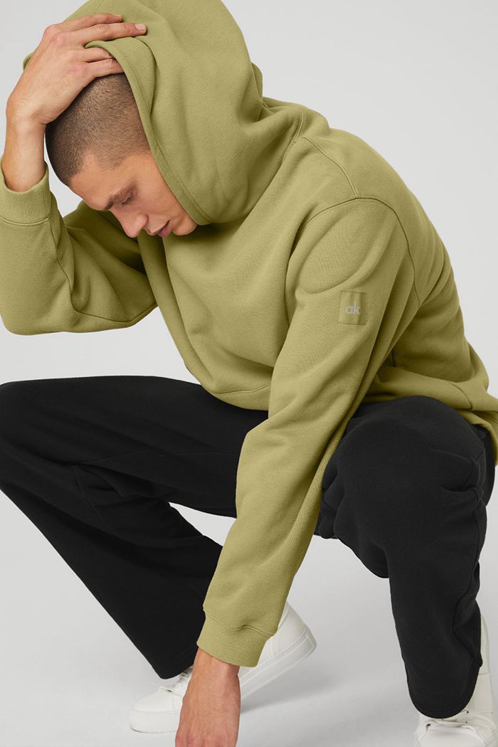 Alo Yoga Renown Men's Hoodie Green | EOWISAL-10