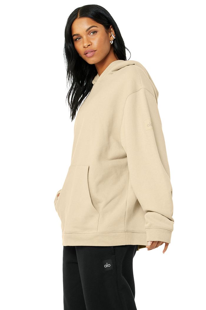 Alo Yoga Renown Women's Hoodie Brown | TJDCABY-47