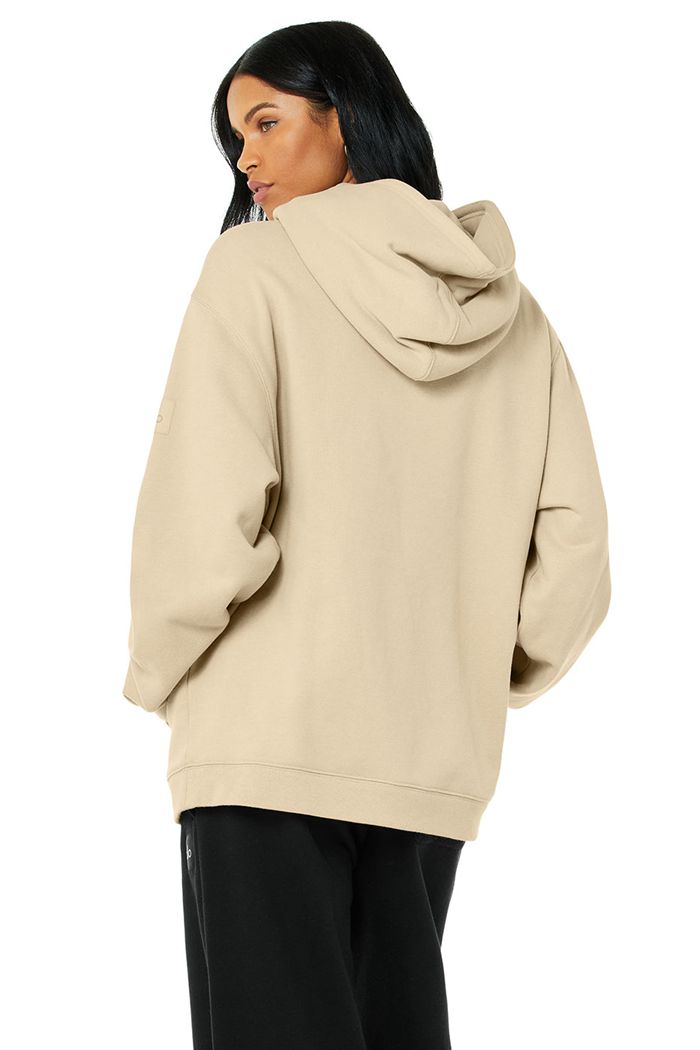 Alo Yoga Renown Women's Hoodie Brown | TJDCABY-47