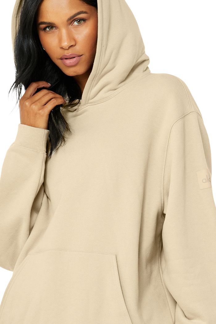 Alo Yoga Renown Women's Hoodie Brown | TJDCABY-47