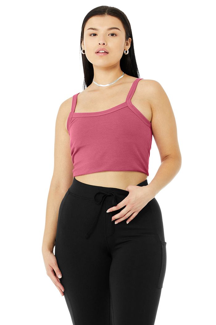 Alo Yoga Ribbed Crop Whisper Women's Bras Purple | XDZICYU-78