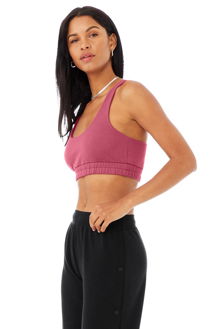 Alo Yoga Scoop Neck Sweatshirt Women's Bras Purple | KLXQGCF-26