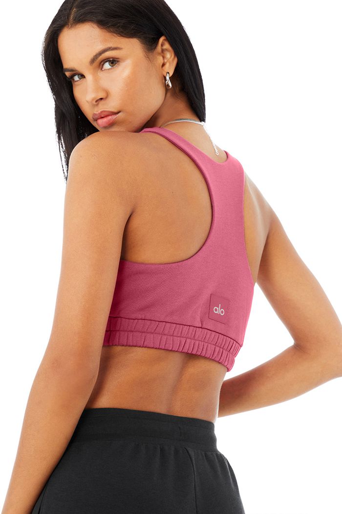 Alo Yoga Scoop Neck Sweatshirt Women's Bras Purple | KLXQGCF-26