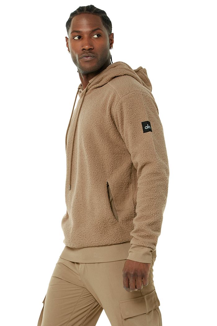 Alo Yoga Sherpa Men's Hoodie Brown | HQCGKUS-23