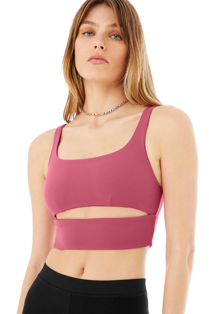 Alo Yoga Slit Women's Bras Purple | BZDWUVP-64