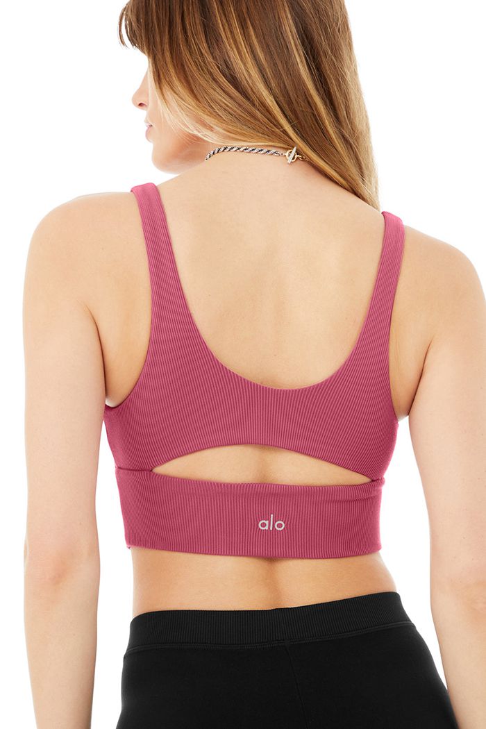 Alo Yoga Slit Women's Bras Purple | BZDWUVP-64